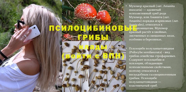 МДПВ Ельня