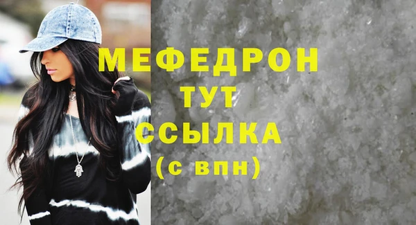МДПВ Ельня